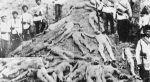 Armenischer Genozid