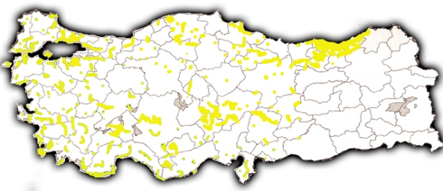 Griechische Ortschaften, die von Torks gewaltsam umbenannt wurden by Yerevanci by Proudbolsahye